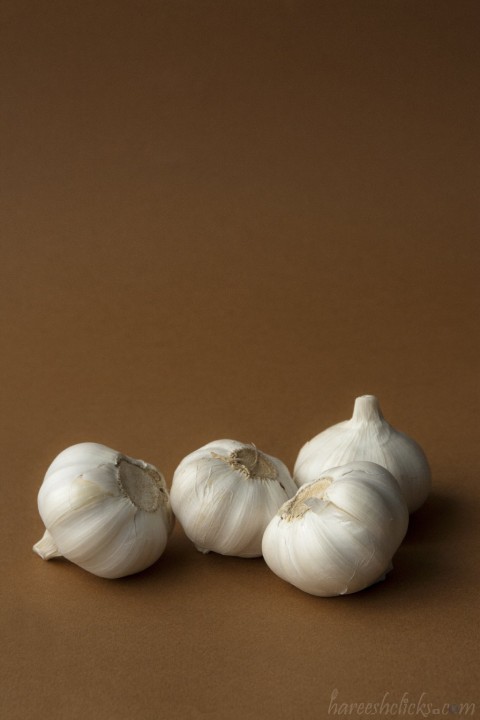 Garlic still life photography